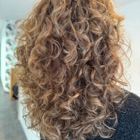 Curly Hair Techniques & Style By Audrey Hair Us Out 21/10 Lochristi